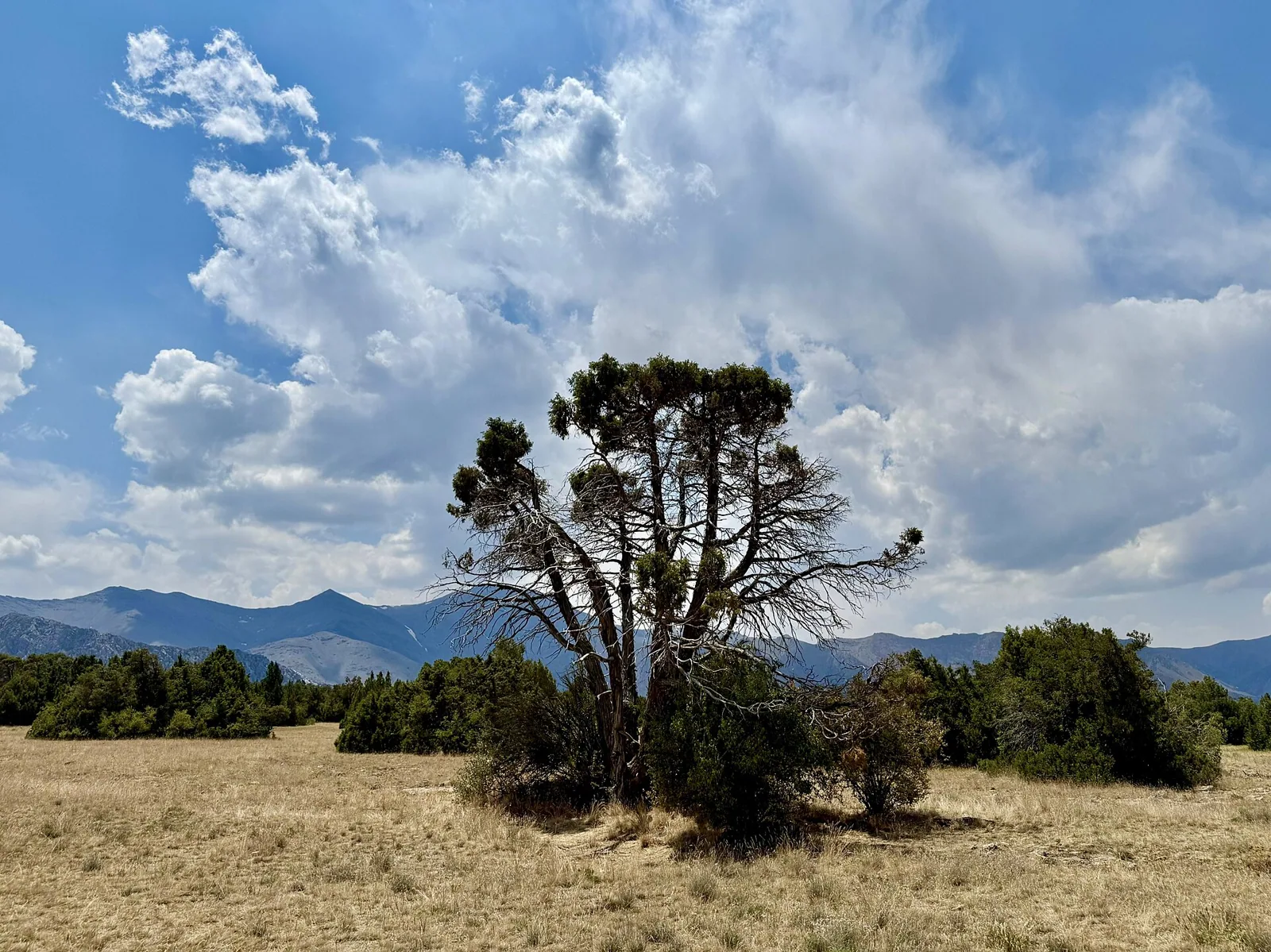 Zaamin Mountain Escape